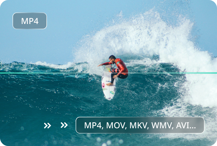 Convert Any Video Format